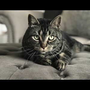 Meet your Posher, Amy